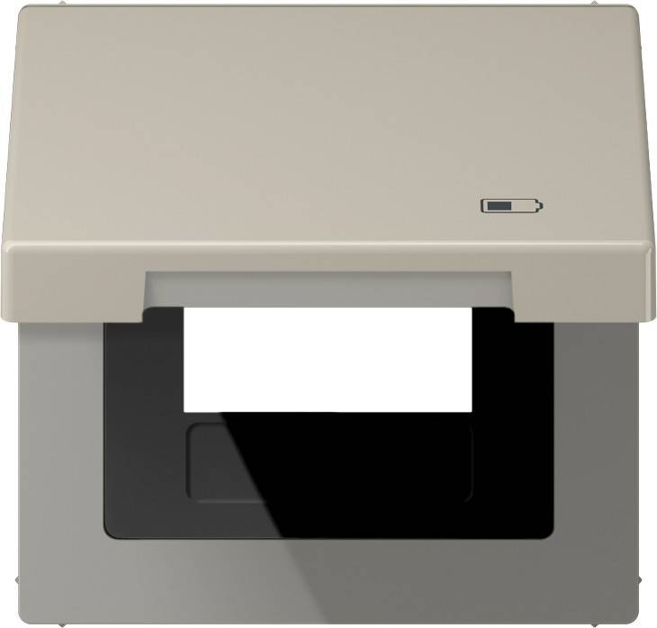 Jung Klappdeckel ES 2990 KL USB