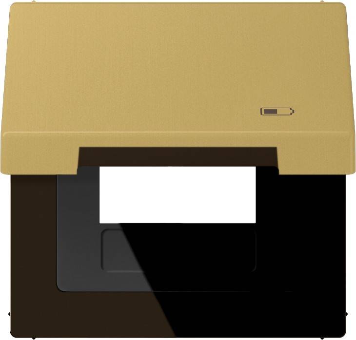 Jung Klappdeckel ME 2990 KL USB C