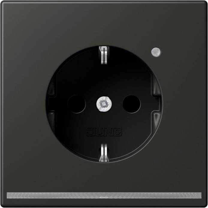 Jung SCHUKO-Steckdose 16A 250V AL 1520-O AN LNW