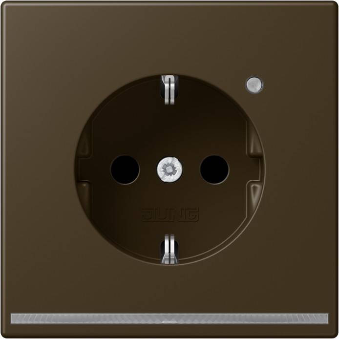 Jung SCHUKO-Steckdose 16A 250V ME 1520-O AT LNW