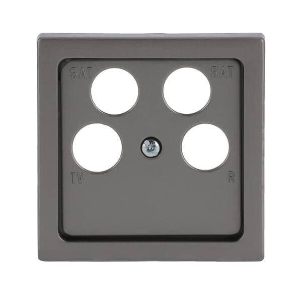 Busch-Jaeger Zentralscheibe edelstahl 1743/10-04-866