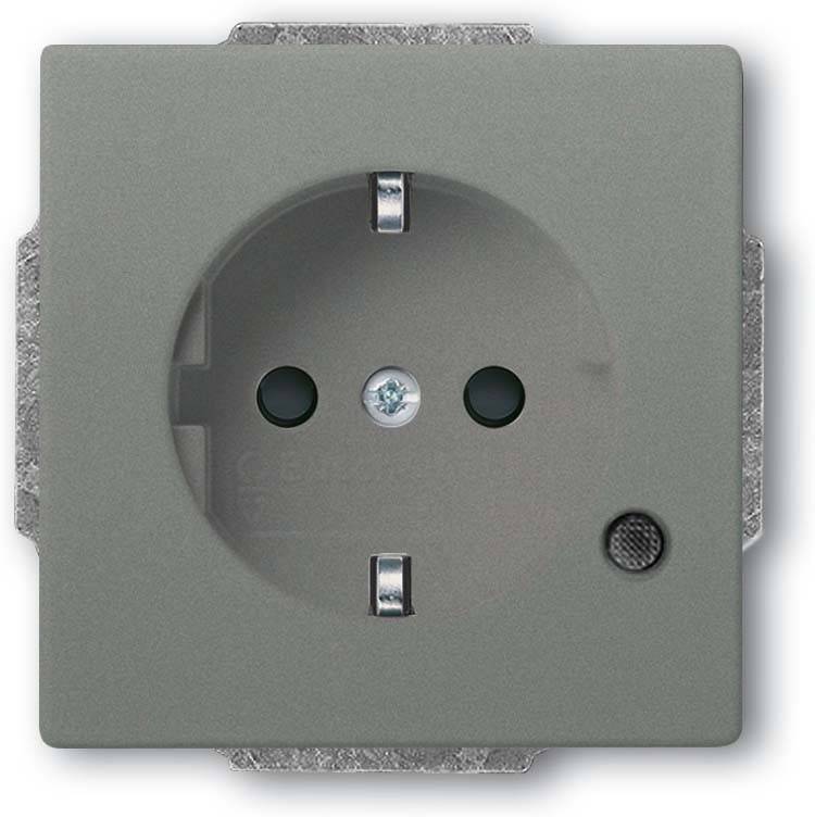 Busch-Jaeger SCHUKO Steckdosen-Einsatz 20 EUCBL-803