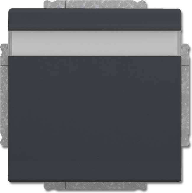 10 Stk. Busch-Jaeger SCHUKO Steckdosen-Einsatz 20 EUKNB-81