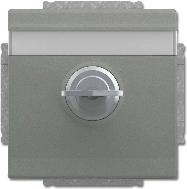 Busch-Jaeger SCHUKO Steckdosen-Einsatz 20 EUKNBSL-803