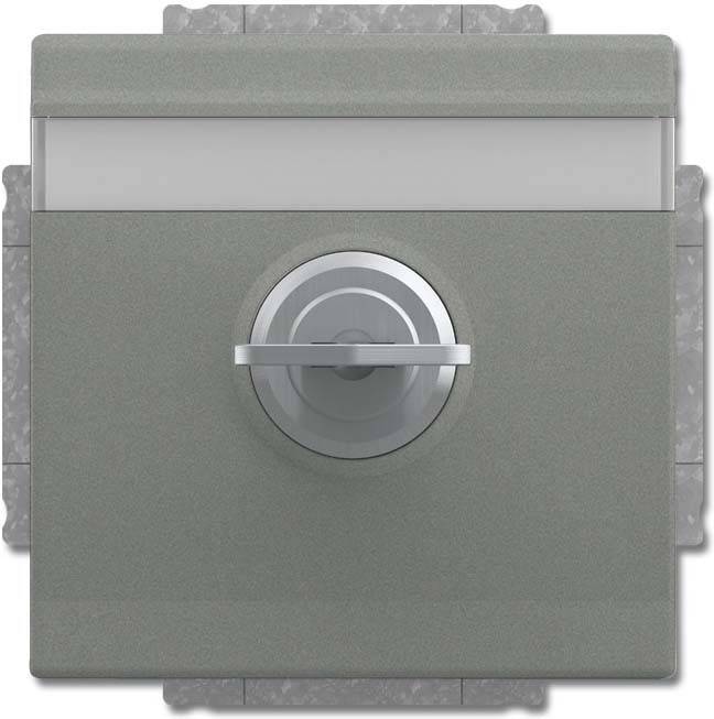 Busch-Jaeger SCHUKO Steckdosen-Einsatz 20 EUKNBSL-803-101