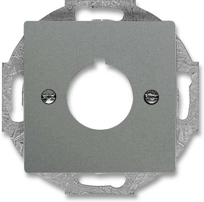 Busch-Jaeger Zentralscheibe gr/metal 2533-803