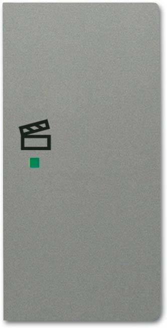 Busch-Jaeger Wippe 6233-22-803