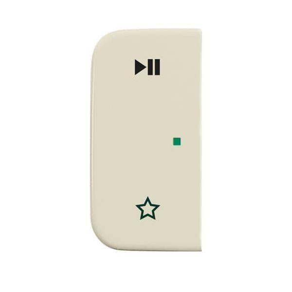 Busch-Jaeger Wippe 6237-21-212