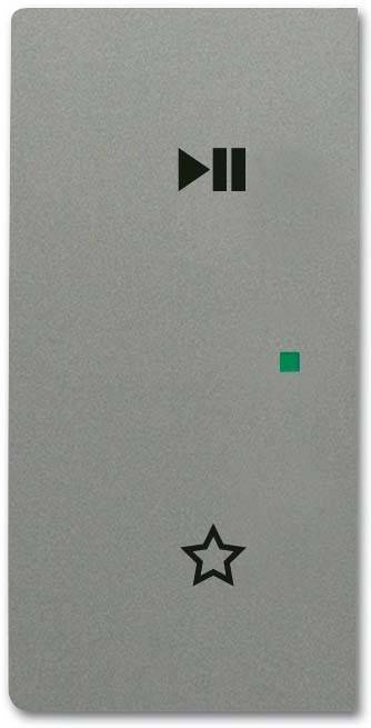 Busch-Jaeger Wippe 6237-21-803