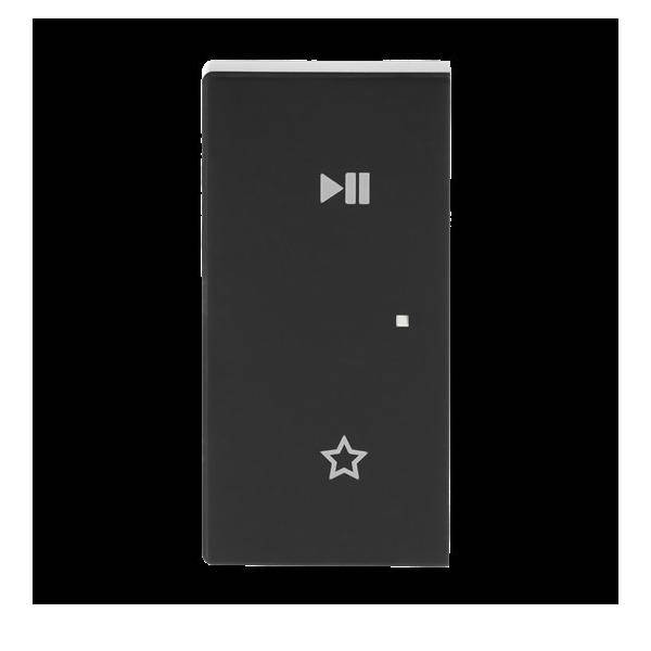 Busch-Jaeger Wippe 6237-21-81