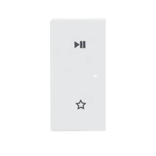 Busch-Jaeger Wippe 6237-21-84