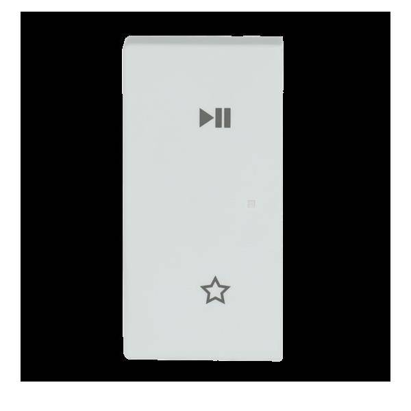 Busch-Jaeger Wippe 6237-21-884