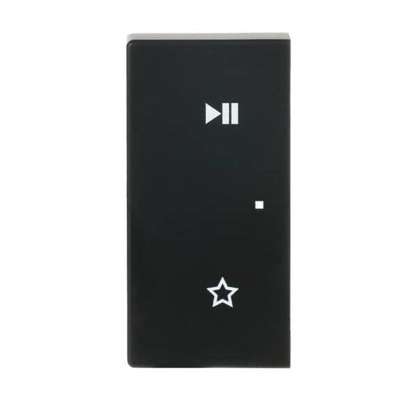 Busch-Jaeger Wippe 6237-21-885