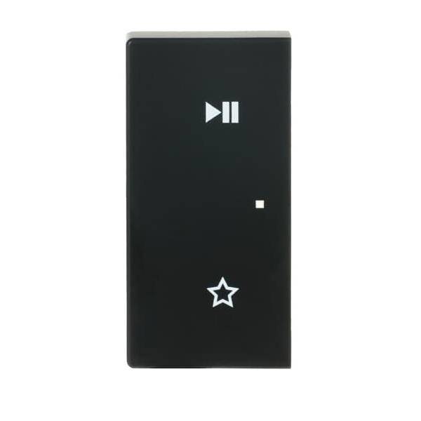 Busch-Jaeger Wippe 6237-21-885