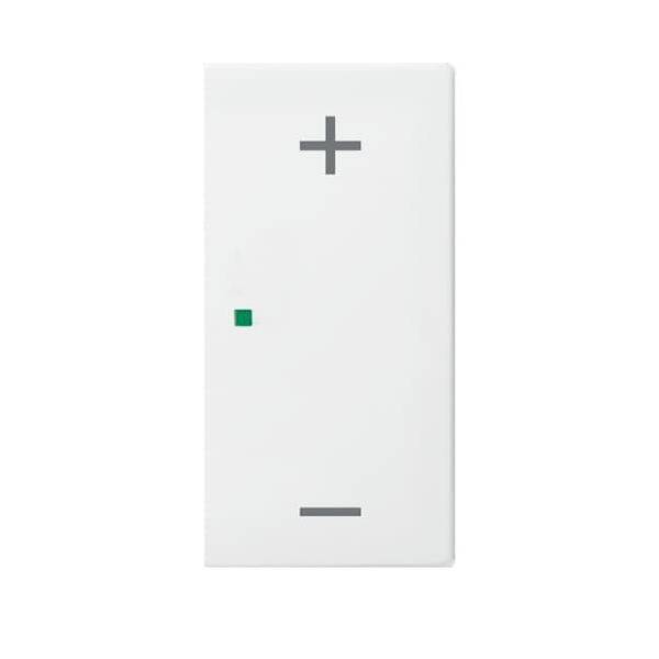 Busch-Jaeger Wippe 6237-22-914