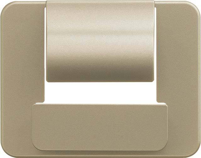 Busch-Jaeger Zentralscheibe palladium 6477-260