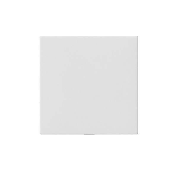 Gira Blindabdeckung o.Tragring 810827