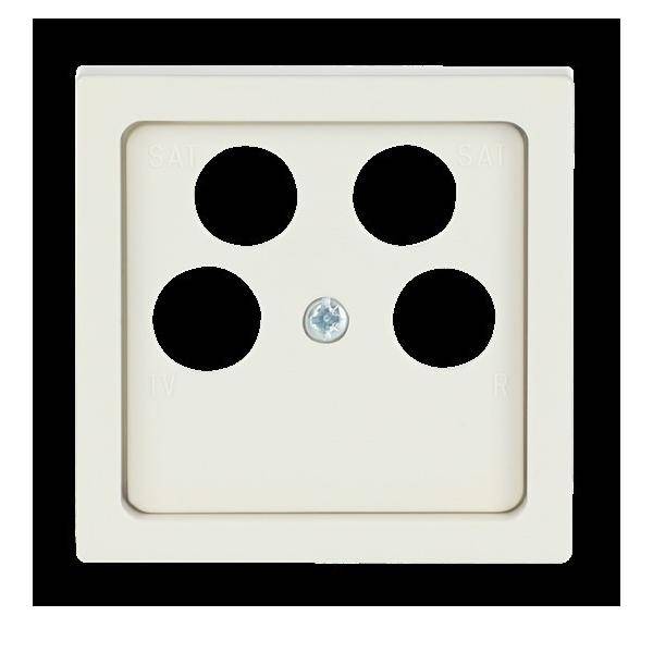 Busch-Jaeger Zentralscheibe elf/ws 1743/10-04-82