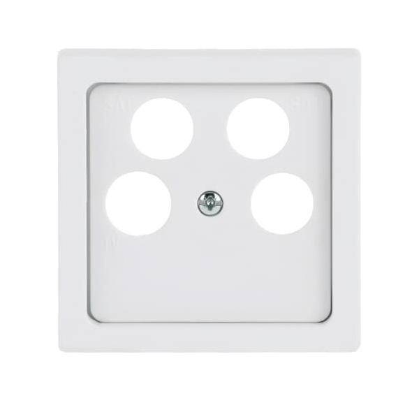 Busch-Jaeger Zentralscheibe stud-ws/mt 1743/10-04-884