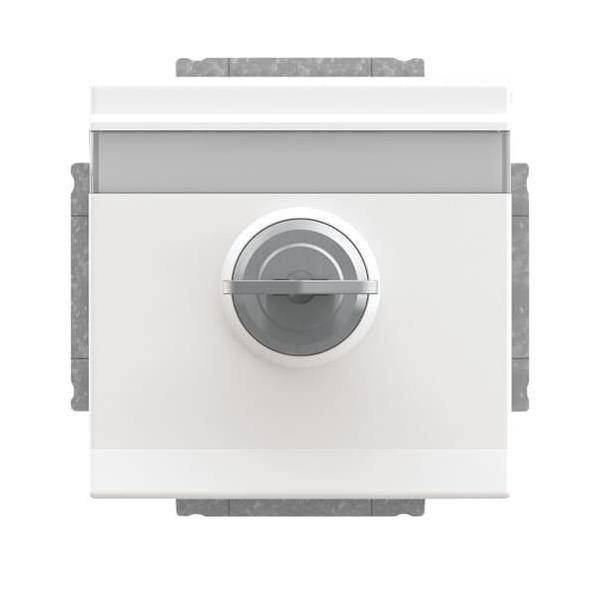 Busch-Jaeger SCHUKO Steckdosen-Einsatz 20 EUKNBSL-84-101