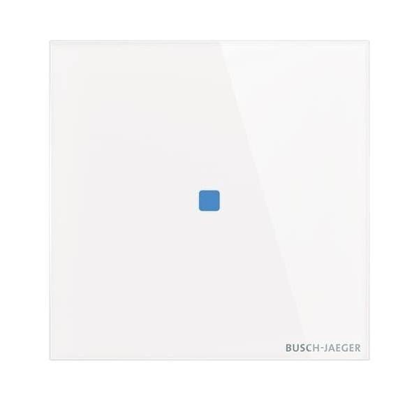 Busch-Jaeger Touch-Bedienelement TB/U1.1.11-CG