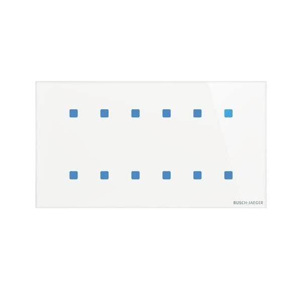 Busch-Jaeger Touch-Bedienelement TB/U12.8.11-CG