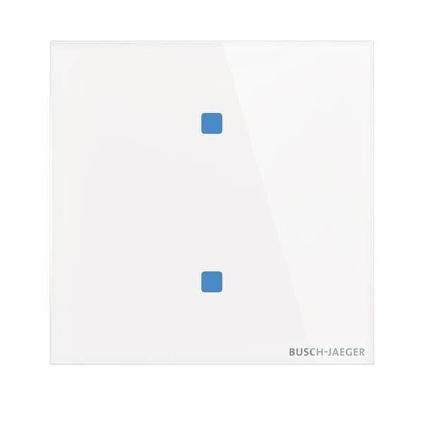 Busch-Jaeger Touch-Bedienelement TB/U2.4.11-CG