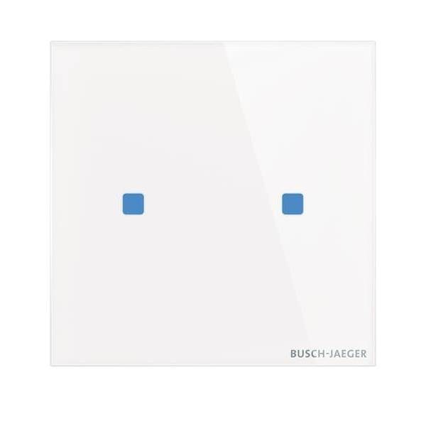 Busch-Jaeger Touch-Bedienelement TB/U2.5.11-CG