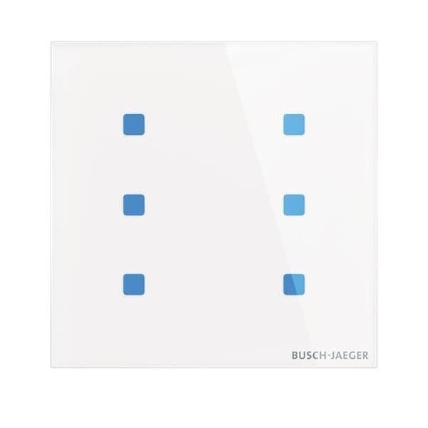 Busch-Jaeger Touch-Bedienelement TB/U6.5.11-CG