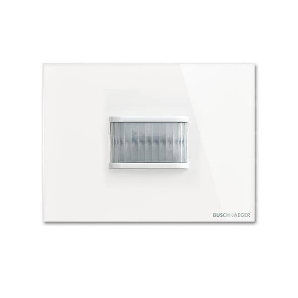 Busch-Jaeger Busch-Wächter 180 UP TBW/U.3.11-CG