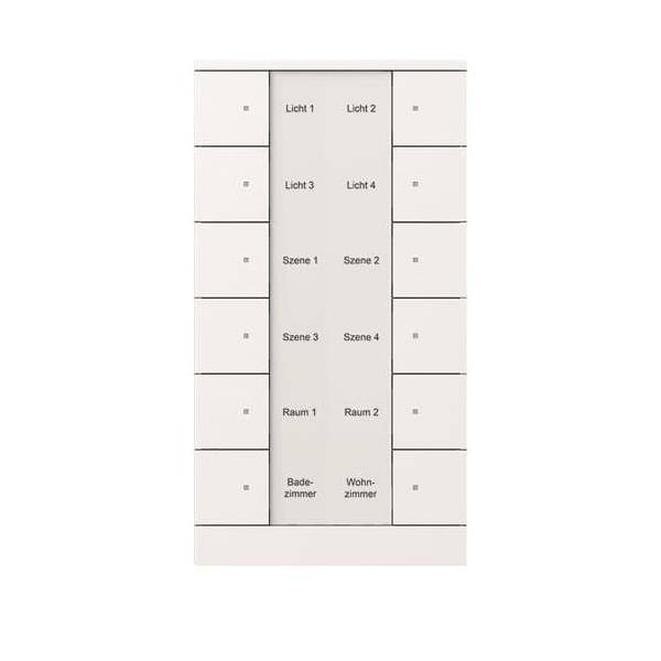 Busch-Jaeger Bedienelement 12-fach SB/U12.0.11-84