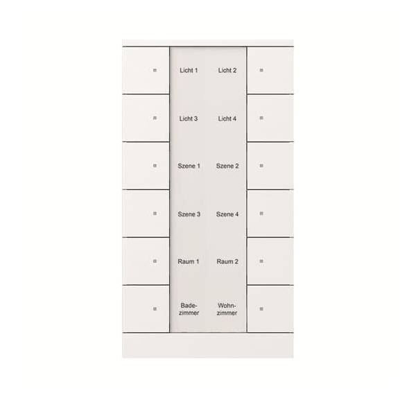 Busch-Jaeger Bedienelement 12-fach SB/U12.0.11-84