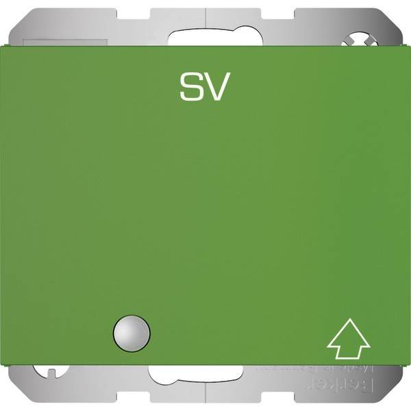 10 Stk. Berker SCHUKO-Steckdose gn-glanz 41517113