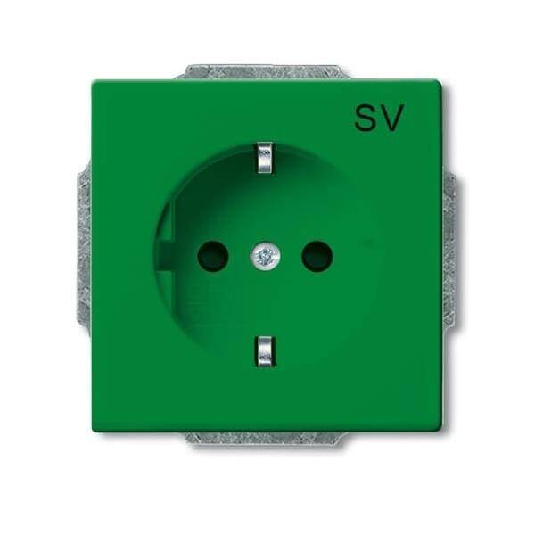 Busch-Jaeger SCHUKO Steckdosen-Einsatz 20 EUCB-13-82-102