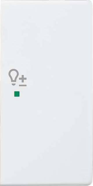 Busch-Jaeger Wippe SRD-2-R-84