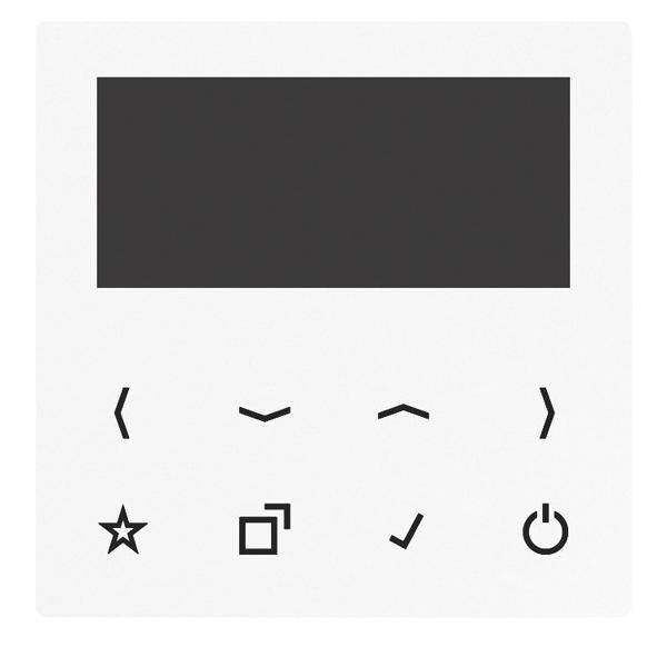 Jung Display für Smart Radio DAB A BT-DISP WW