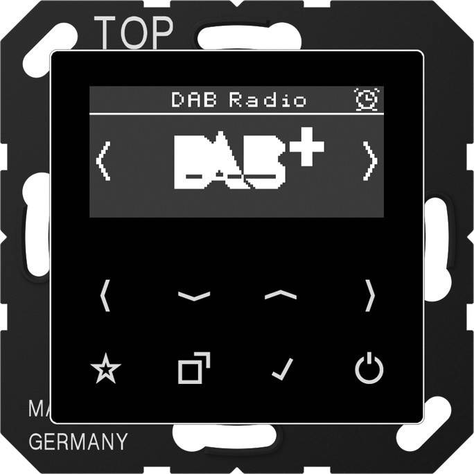 Jung Smart DAB+ Digitalradio DAB A SW