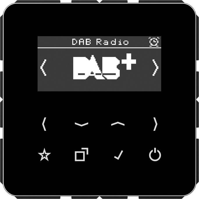 Jung Smart DAB+ Digitalradio DAB CD SW