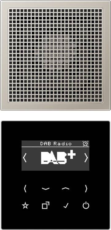 Jung Smart DAB+ Digitalradio DAB ES1
