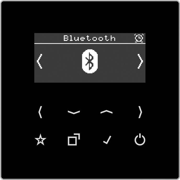 Jung Smart DAB+ Digitalradio DAB LS BT SW