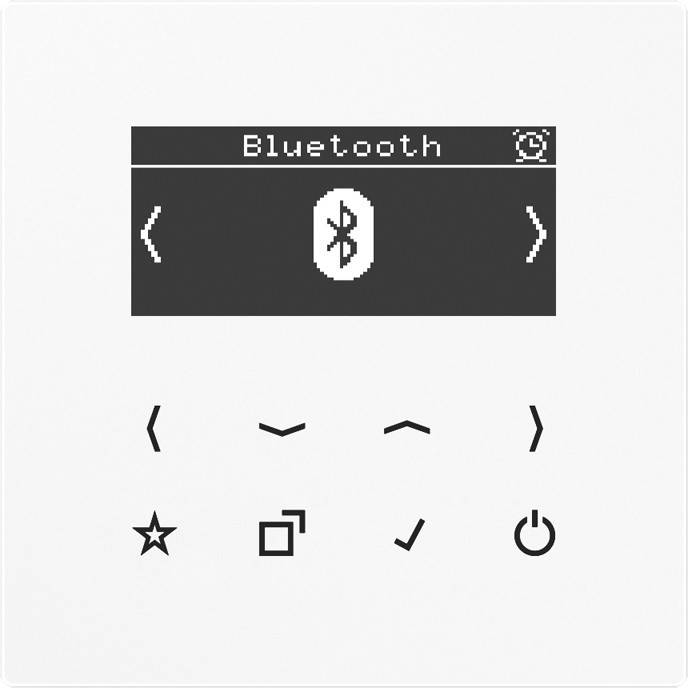 Jung Smart DAB+ Digitalradio DAB LS BT WW