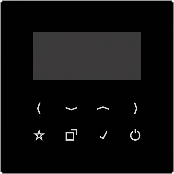 Jung Display für Smart Radio DAB LS BT-DISP SW