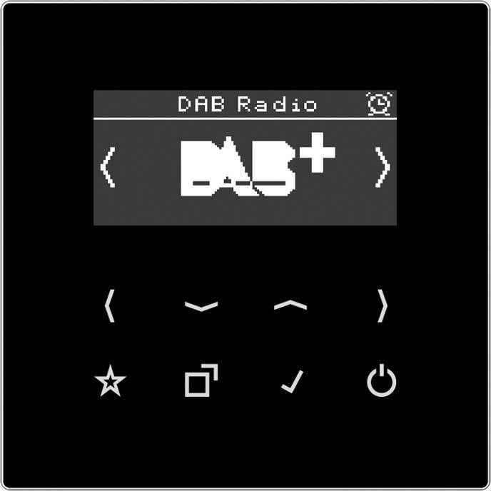 Jung Smart DAB+ Digitalradio DAB LS SW