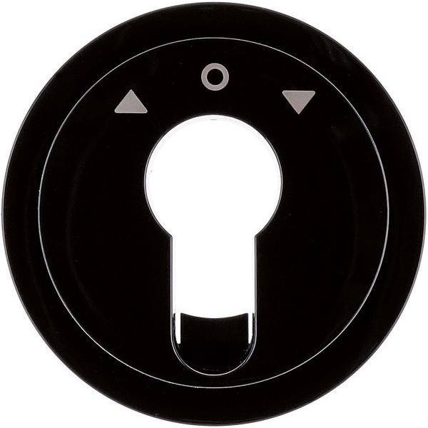 Berker Zentralstück sw/gl 15062045