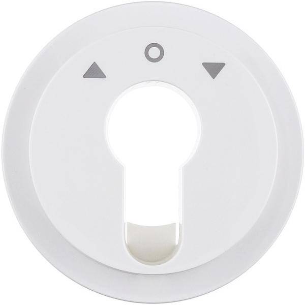 Berker Zentralstück pws/gl 15062089