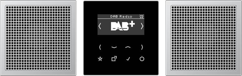 Jung Smart Radio DAB+ DAB AL2