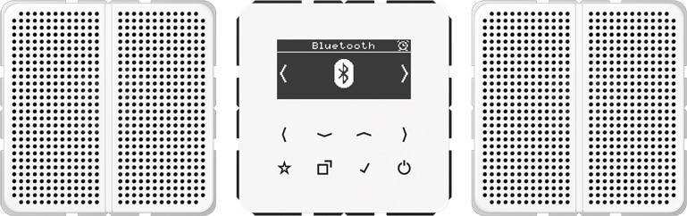 Jung Smart Radio DAB+ DAB CD2 BT WW