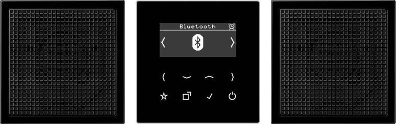 Jung Smart Radio DAB+ DAB LS2 BT SW