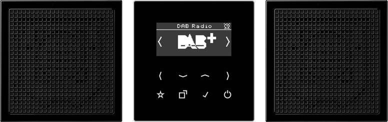 Jung Smart Radio DAB+ DAB LS2 SW