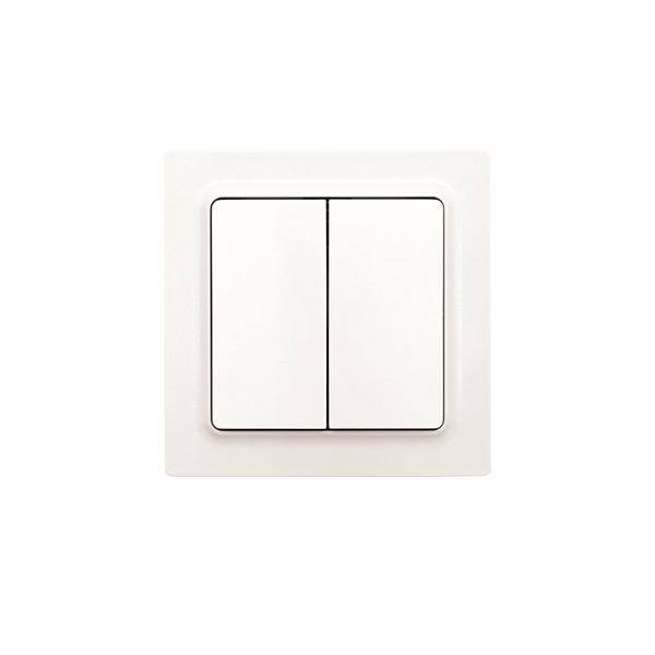 Eltako Wipptaster W2T55E-pm